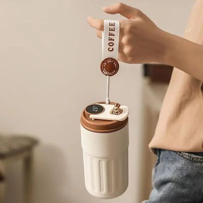 450ml 스마트 온도 디스플레이 스테인리스 스틸 재료와 로니어드
